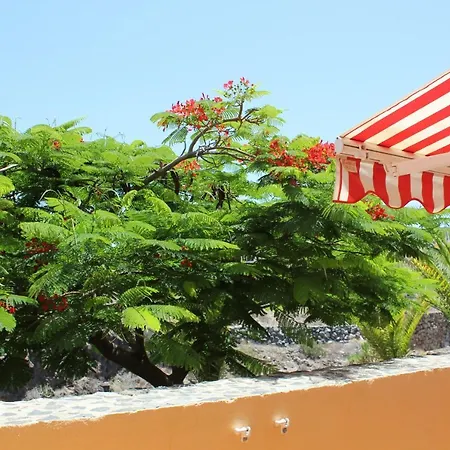 Perfecto De Playa *